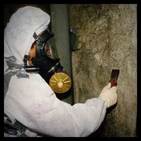 Asbestos Removal